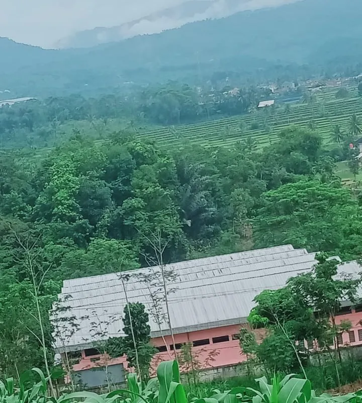Gedung pabrik beratap seng di antara kebun dan perbukitan Cikalongkulon