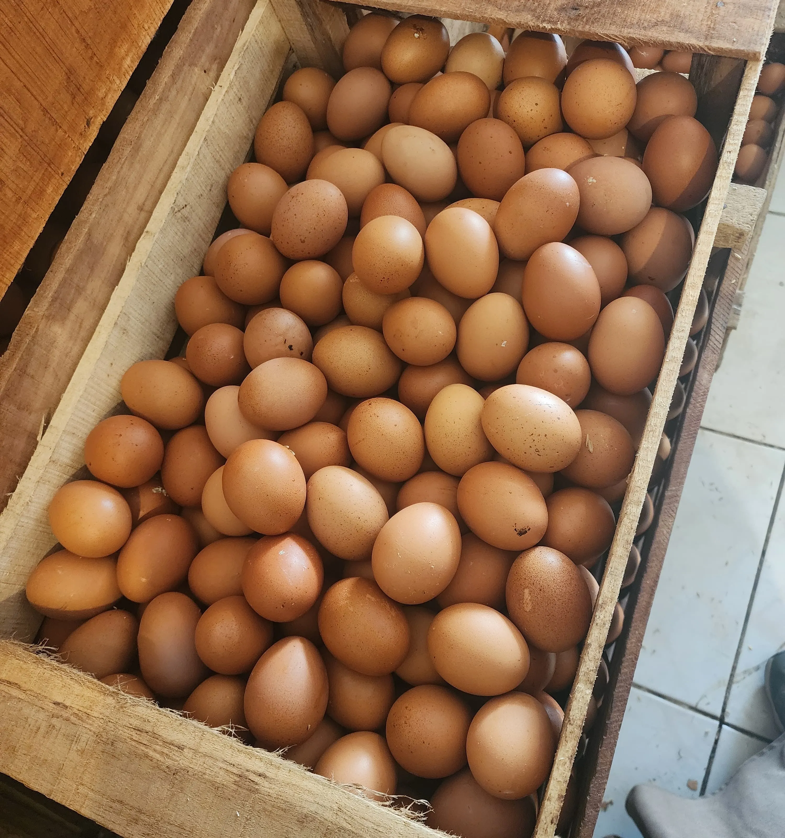 Telur ayam cokelat di dalam peti kayu
